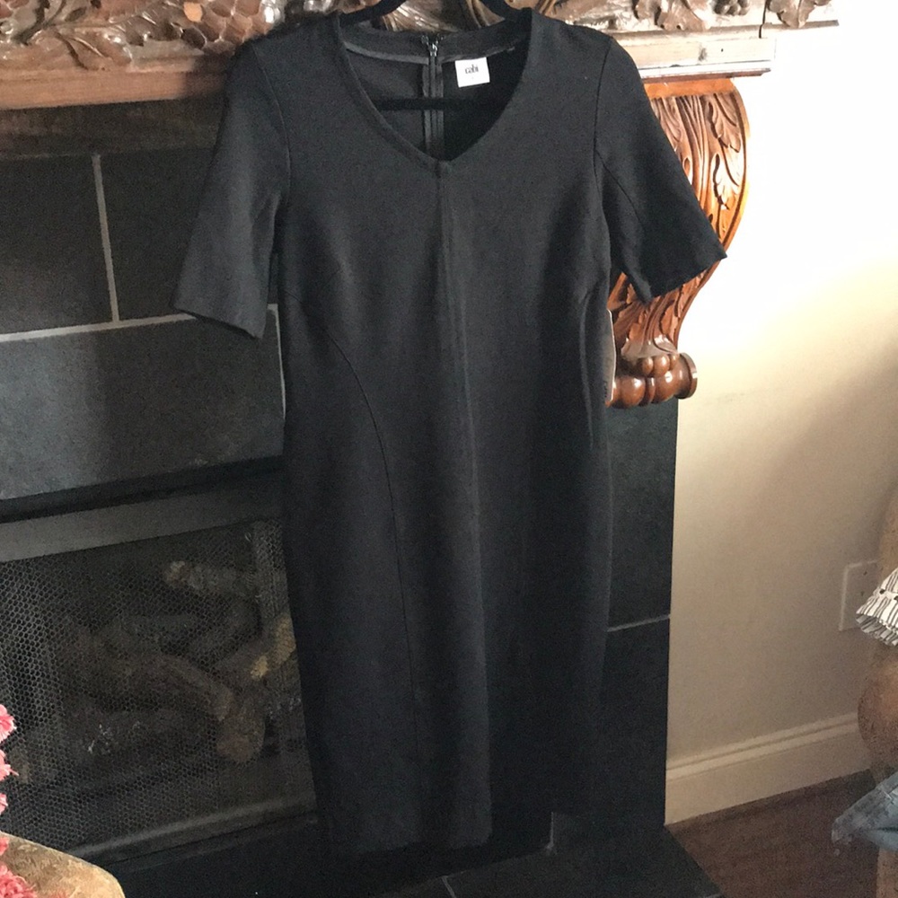 Cabi Claire Dress Size 6